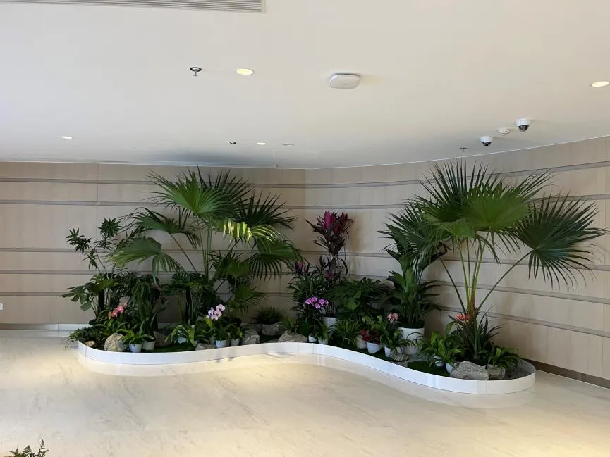 揭秘宁波江北绿化养护，卓越服务魅力无限！